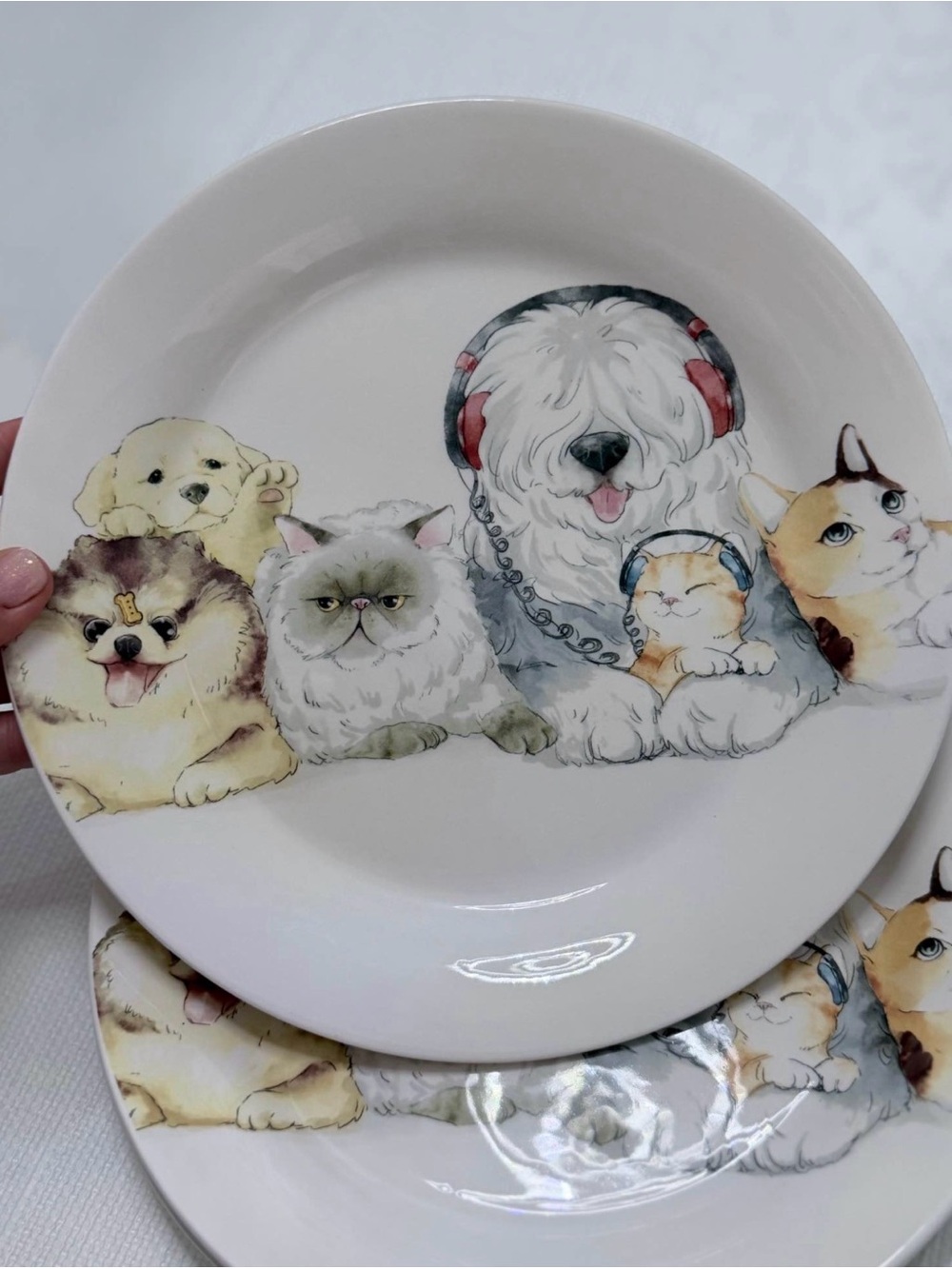 Pier 1 White Ceramic Plate with Playful Pet Illustration